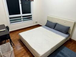 Parkshore (D15), Condominium #576088081